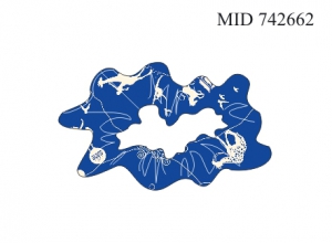 INCANTO CIRCO MID742662 ― ЦЕНТР КОЛГОТОК И БЕЛЬЯ. КОЛГОТКИ ОПТОМ. БЕЛЬЕ ОПТОМ.